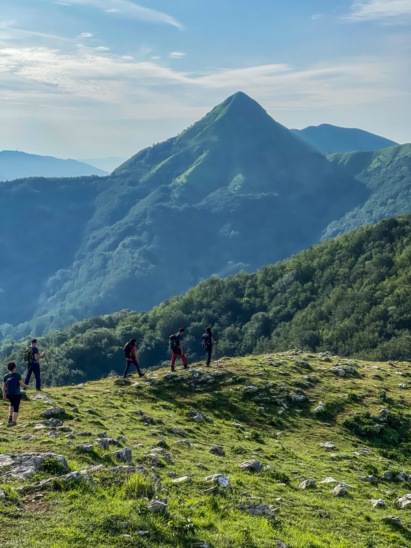 9FB128AC-B3A4-4192-9280-D6A8EABCB97D