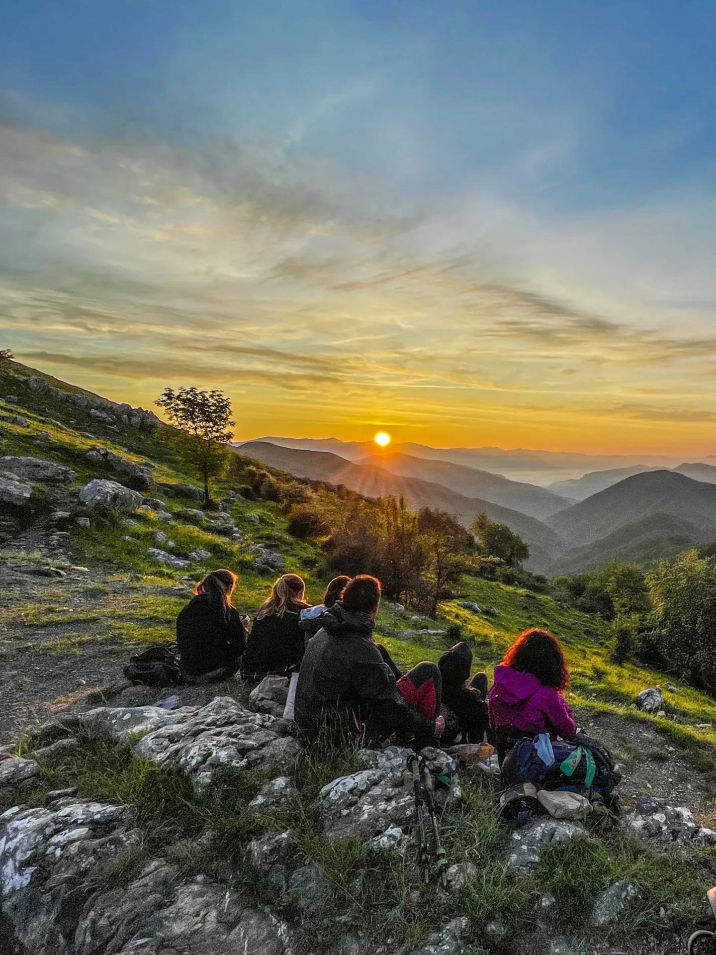 3CAA0041-AFE8-4A17-93EE-AE366AA98435