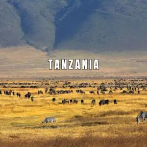 Tanzania: dal ritmo della Savana al respiro del Mare sulle orme dei big FIVE! - 31ott/8nov