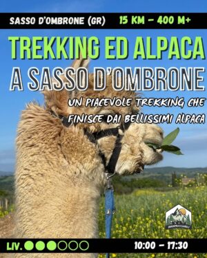 Trek ed Alpaca a Sasso D'ombrone - dom 19/04