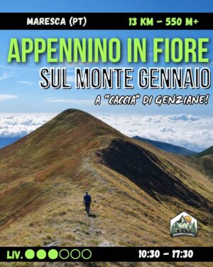 Appennino in Fiore sul Monte Gennaio - dom 24/05