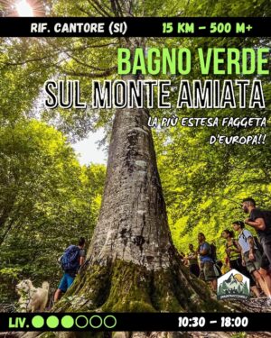 Nel Cuore Verde dell’Amiata – Bagno in Faggeta - dom 05/07