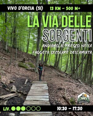 L'Ermicciolo e la Via delle Sorgenti: trekking nella Faggeta secolare di Vivo d'Orcia + terme - sab 19/09